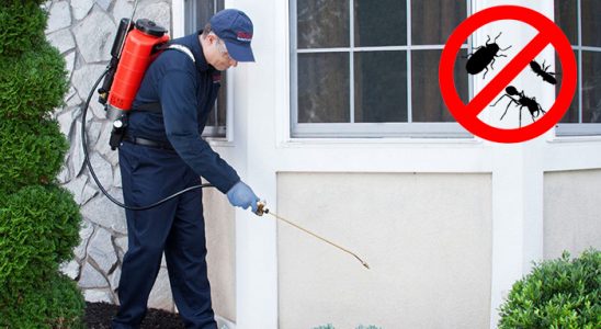 Eskifoça Dezenfeksiyon böcek ilaçlama ve haşere kontrolü — ilaclama-tr.com